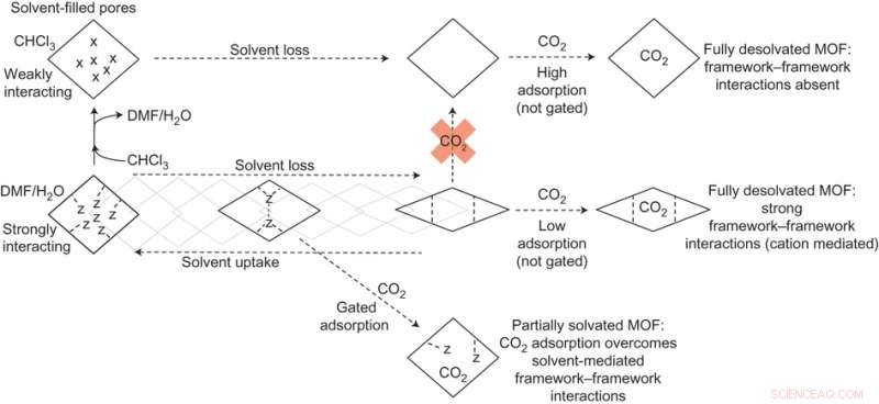 Guest‑Selective Continuous‑Breathing Metal‑Organic Frameworks: Solvent‑Dependent Dynamics for Enhanced Selectivity