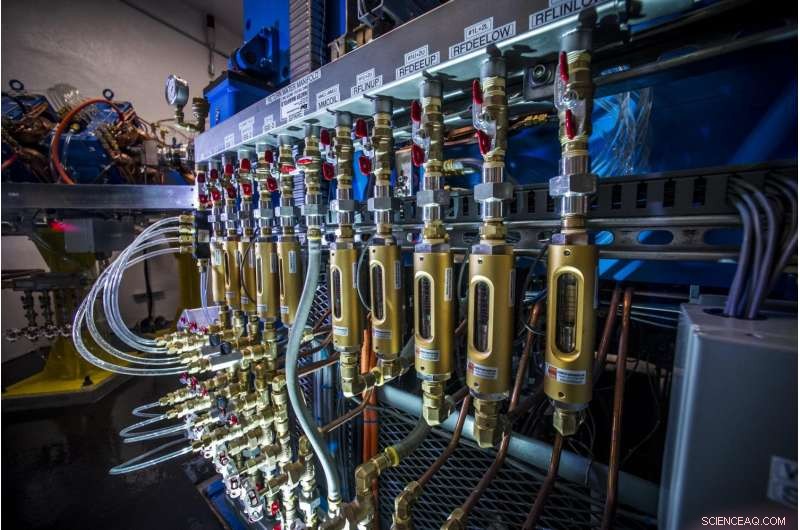 Scientists Trace Harmful Chemicals from Fast‑Food Wrappers Inside the Human Body