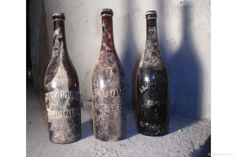 Uncovering 100‑Year‑Old Beer: Insights into Chemical Composition and Natural Aging