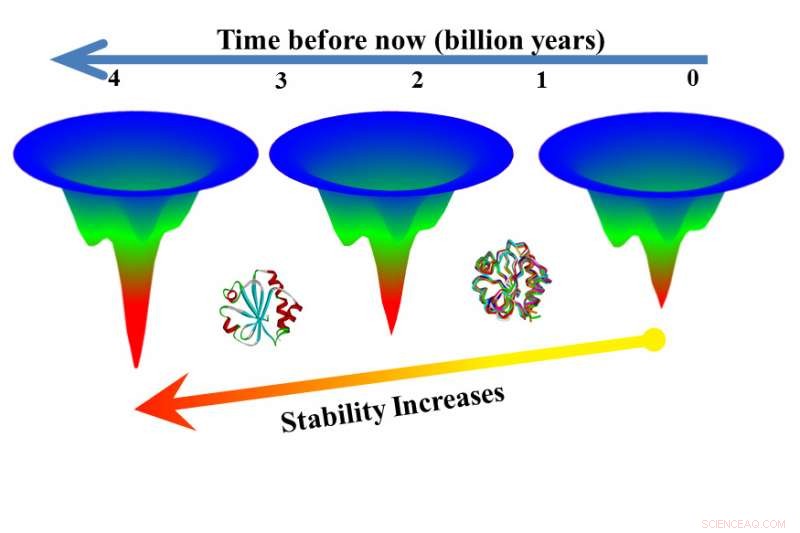 Engineering Heat-Resistant Proteins: Lessons from Ancient Structures