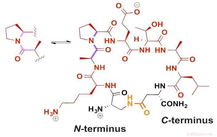 Bypassing the Blood-Brain Barrier: Innovative Strategies for Targeted Drug Delivery