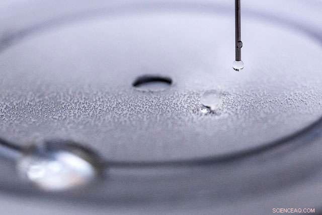 Ultra-Durable Self-Healing Water-Repellent Coating