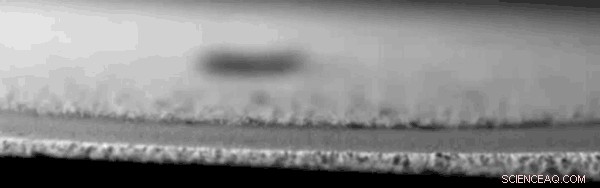 Ultra-Durable Self-Healing Water-Repellent Coating