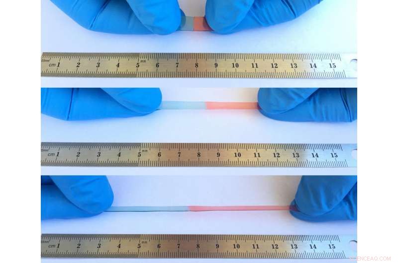 Innovative Self-Healing Material Could Revolutionize Smartphone Durability