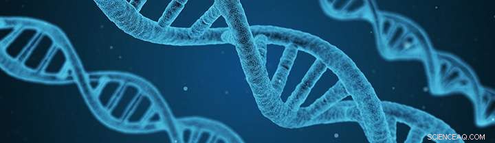 UEA Scientists Pioneer Innovative Technique to Probe Essential Protein Functions