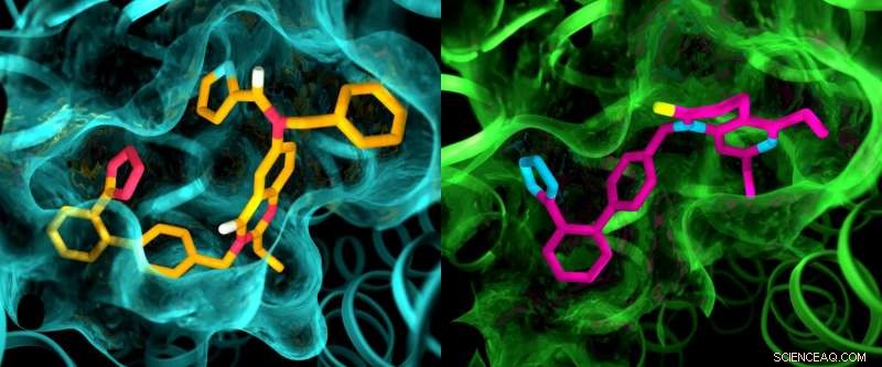 X-ray Analysis Uncovers Key Drug Target, Paving Way for New Therapies