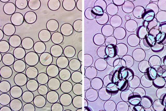 Revolutionary Droplet Test Promises Faster, Cheaper Food Safety Checks