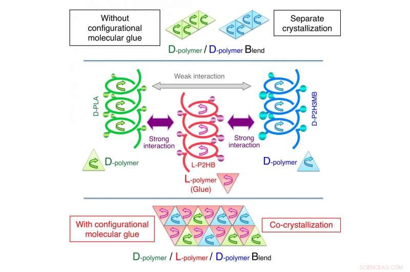 Helical Molecular Glue Discovered: Advancing Polymer Design