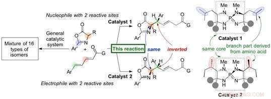 Precise Chiral Synthesis Achieved with Novel Organic Catalysts