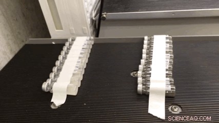 Scientists Investigate How Easily Life Can Emerge from Chemical Reactions