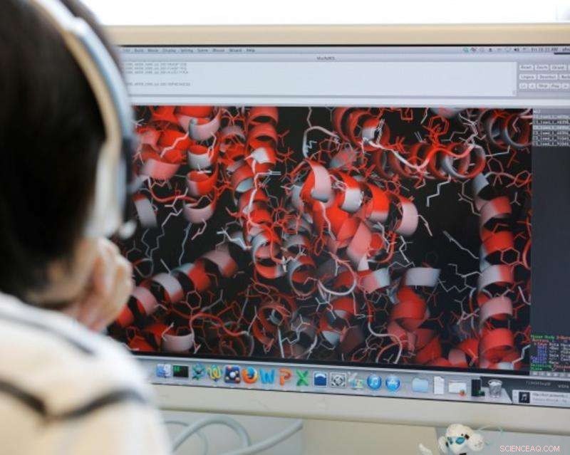 Designing Enzyme Antidotes for Nerve Agents: A New Frontier in Chemical Weapon Defense