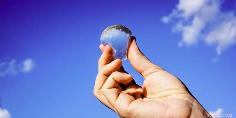 Crowdfunding the Ooho: A Revolutionary Edible Water Bottle