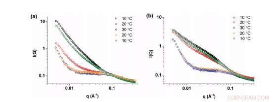 Heating Enhances Strength of Supramolecular Hydrogels, New SANS Study Shows