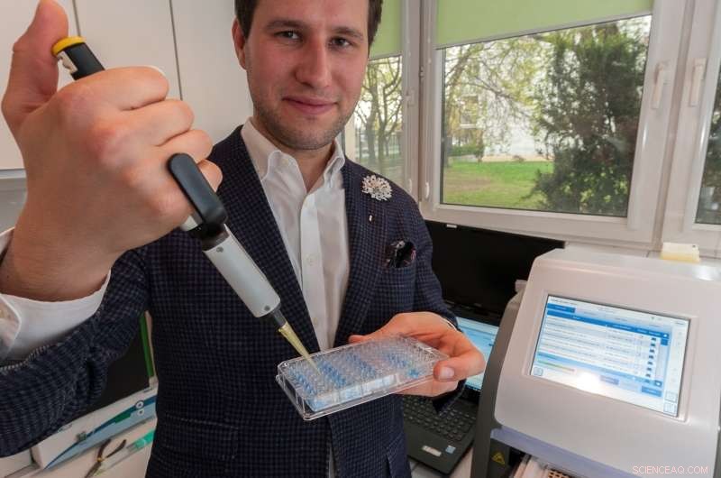 Synergistic PCR: A Calibration‑Free DNA Analysis Method for Rapid, Reliable Results on Standard Lab Equipment