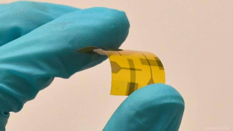 Pioneering Flexible Memory Device Leveraging Ultra-Thin Oxide Ferroelectric Films