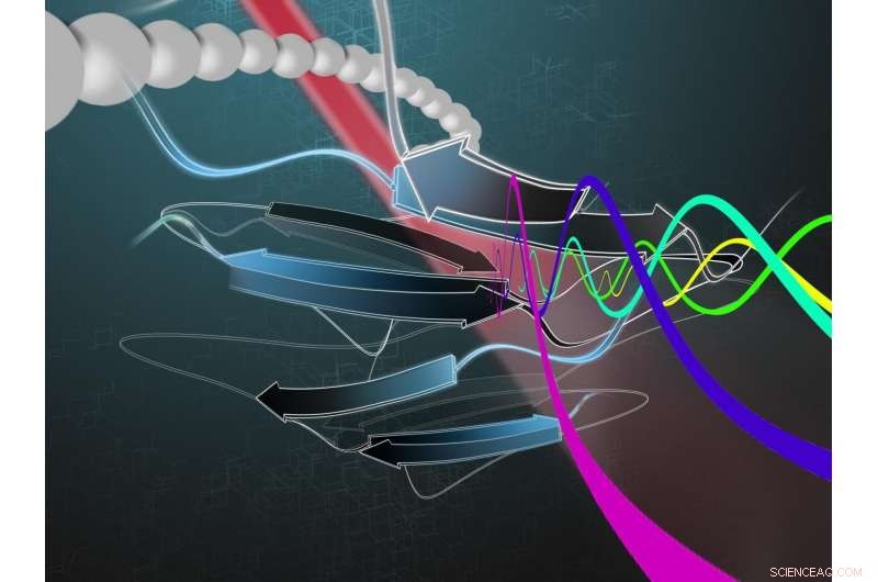 High-Speed Protein Screening Device Accurately Reads and Separates Sequences