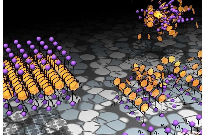 How Minor Structural Tweaks Direct Molecules on Alternative Crystallization Pathways