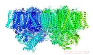 The Mechanism Behind Electrical Charge Generation in Photosynthesis