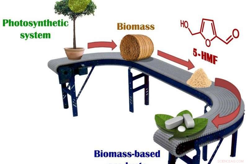 Greening the Pharma Industry: Sustainable Solutions for Cost‑Efficient Drug Production