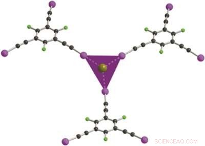 Harnessing Halogen Bonds: Unveiling Anion Coordination Chemistry