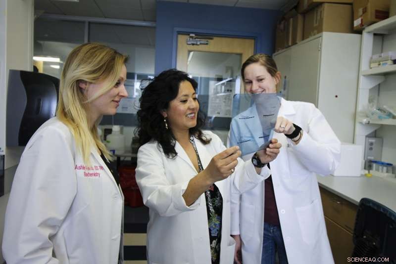 New Study Targets Protein Behind Plaque Formation in ALS and Dementia