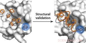 Benzene Probes Reveal Two Concealed Binding Sites on a Key Anticancer Target