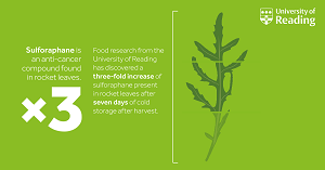 Salad Leaves Accumulate Anti-Cancer Nutrients During Shelf Life