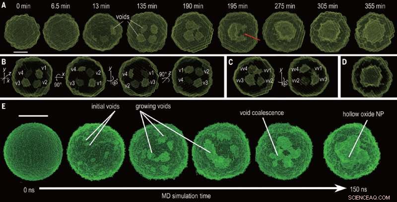 Real‑Time Imaging of Nanoparticle Oxidation via X‑ray Scattering and Molecular Dynamics