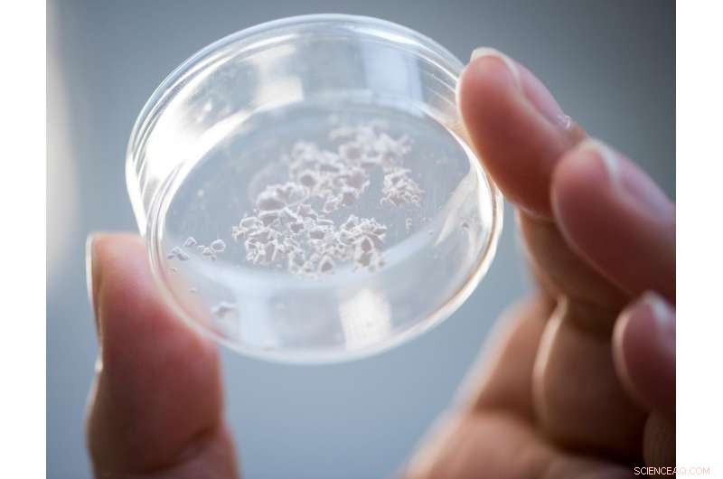 Silica Nanocages Enable Temperature-Resistant Vaccine Storage