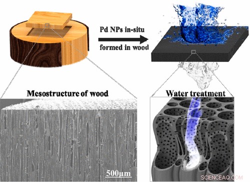 Wood‑Infused Nanoparticle Filter Removes Toxic Dyes from Water