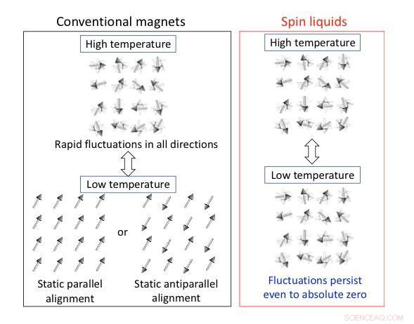 From Hydrocarbon Richness to Rare Spin Liquids: Exploring Unconventional Magnetic States