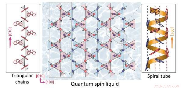 From Hydrocarbon Richness to Rare Spin Liquids: Exploring Unconventional Magnetic States