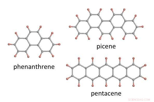 From Hydrocarbon Richness to Rare Spin Liquids: Exploring Unconventional Magnetic States