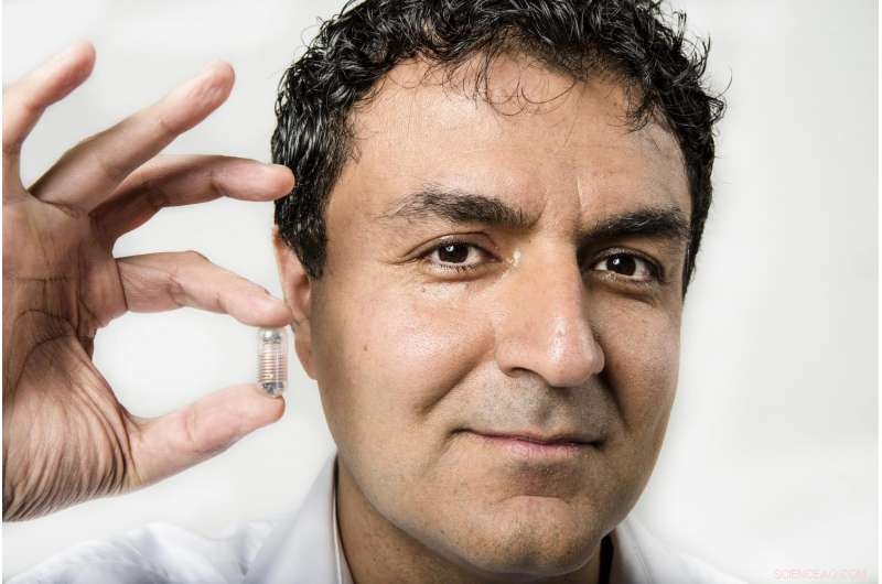 RMIT Researchers Finish Phase One Trials of Smart Pills for Gut Health