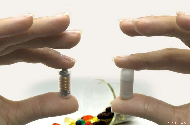 RMIT Researchers Finish Phase One Trials of Smart Pills for Gut Health