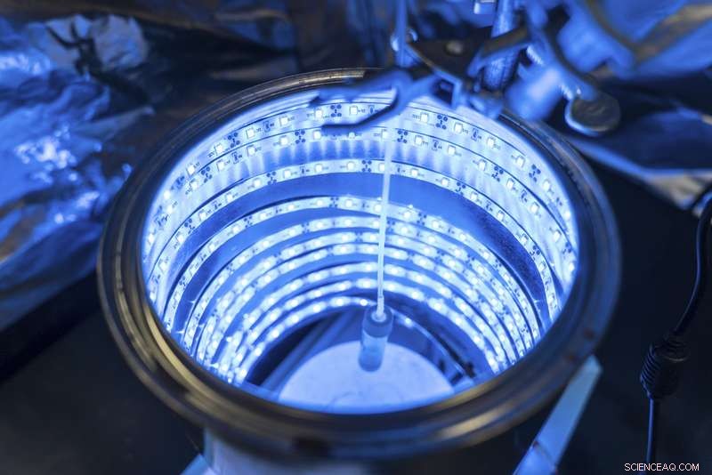 Innovative Artificial Photosynthesis Converts CO₂ Into Clean Air & Energy