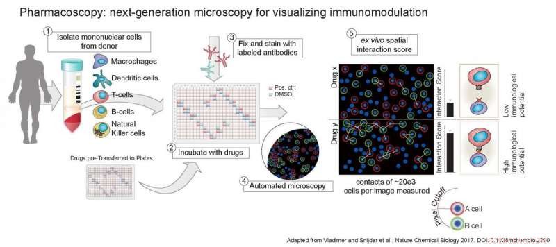 Pharmacoscopy: Advancing Immunomodulatory Drug Discovery Through Immune Cell Interaction Analysis