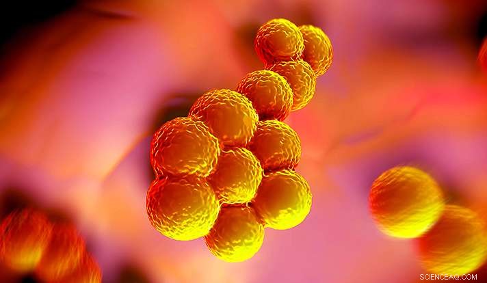 Tick-Derived Protein Boosts Antibiotic Efficacy Against MRSA