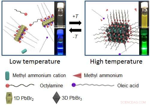 Groundbreaking Luminescent Molecular System Demonstrates Lower Critical Solution Temperature