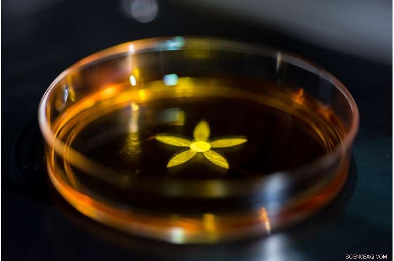 Georgia Tech & Peking University Unveil LED-Driven Self-Folding Origami Technique