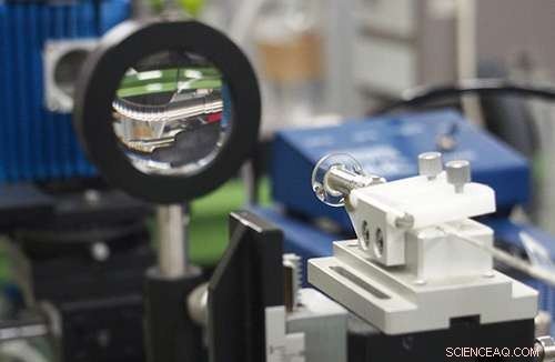 Compact Fiber‑Optic Sensor Enables Real‑Time Breath Biomarker Detection