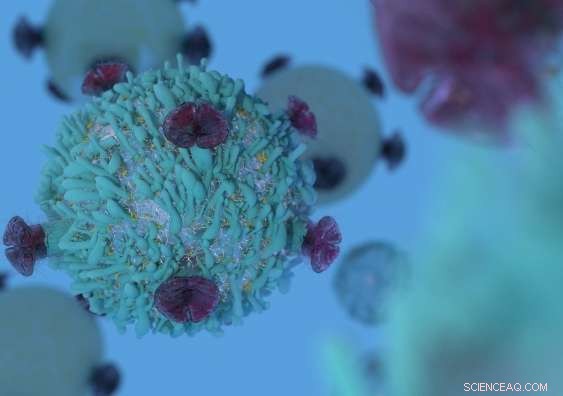 Advanced Membrane Charge Sensor Unveils T‑Cell Regulation Dynamics