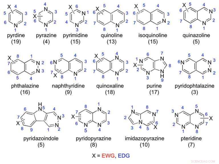 Deepening Insight into Human Aldehyde Oxidase: Structure‑Metabolism Relationships Update