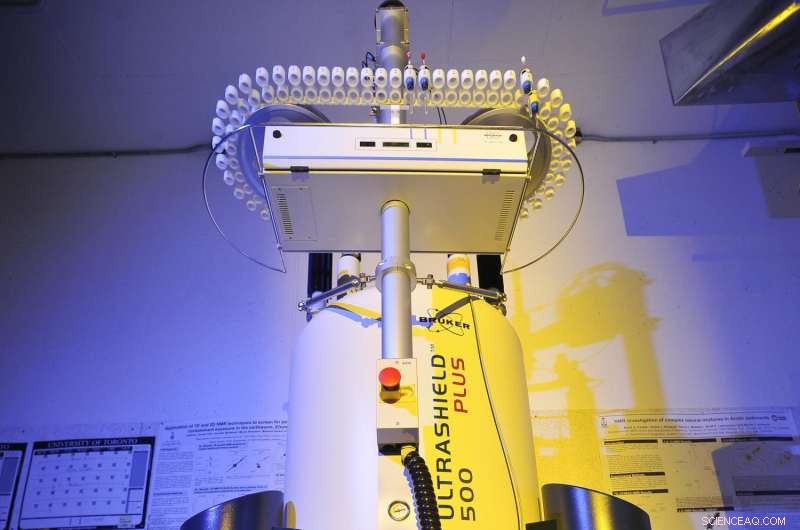 Revolutionary NMR Method Provides High-Resolution Molecular Insight in Living Organisms