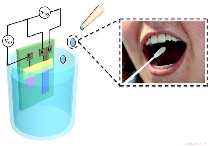 New Saliva-Based Glucose Sensor Outperforms Blood Tests in Accuracy & Cost