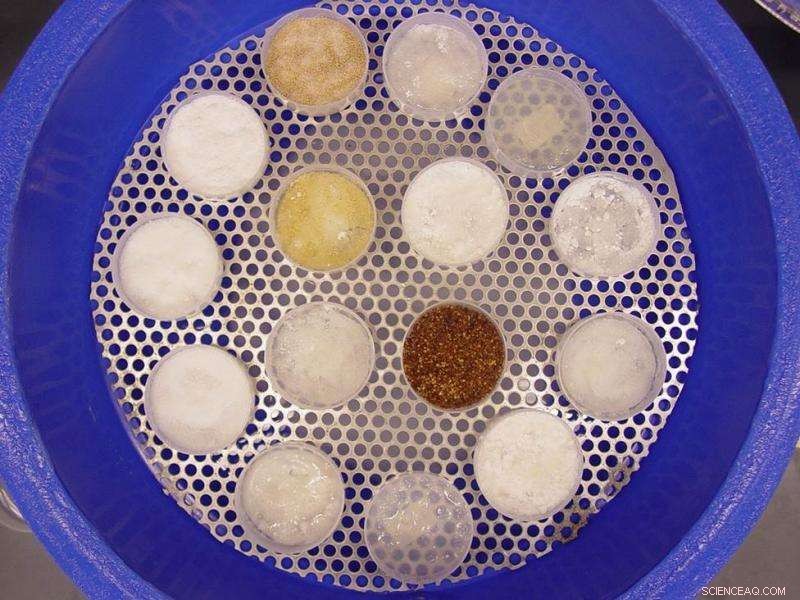 Purdue Study Reveals Food Ingredient Blends Are More Climate‑Sensitive Than Single Components