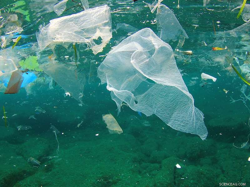 The Perils of Plastic Durability: Impact on Oceans