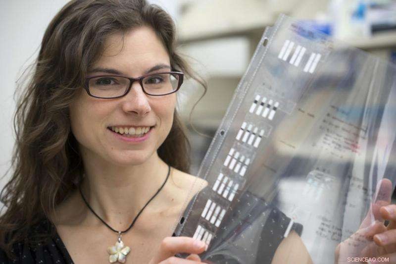 Paper‑Based Molecular Device Offers Ultra‑Sensitive, Automated Virus Detection