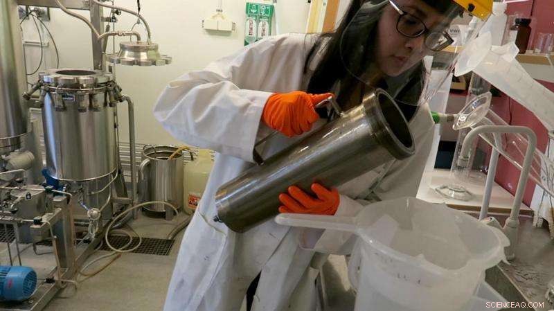 From Wheat Mill Byproducts to Antioxidants and Bioplastics: A Sustainable Innovation