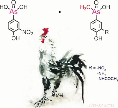 New Study Detects Methylated Phenylarsenical Metabolites in Chicken Livers